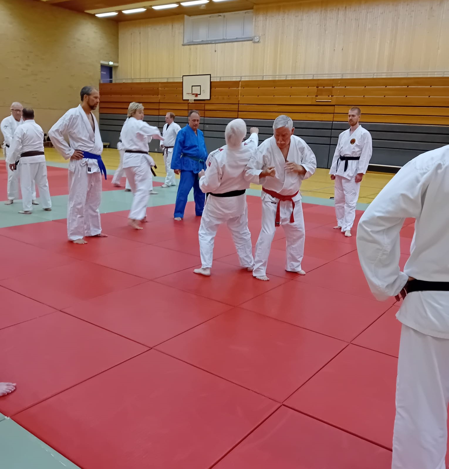 Ju-Jutsu-Techniken mit den Großmeistern